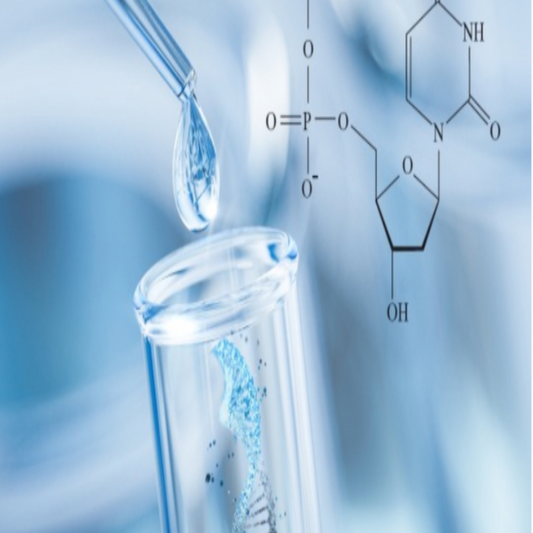 ONLINE - Polynucleotides Course
